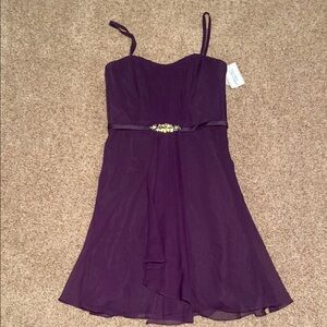 Womens size 12 nwt purple da Vinci dress